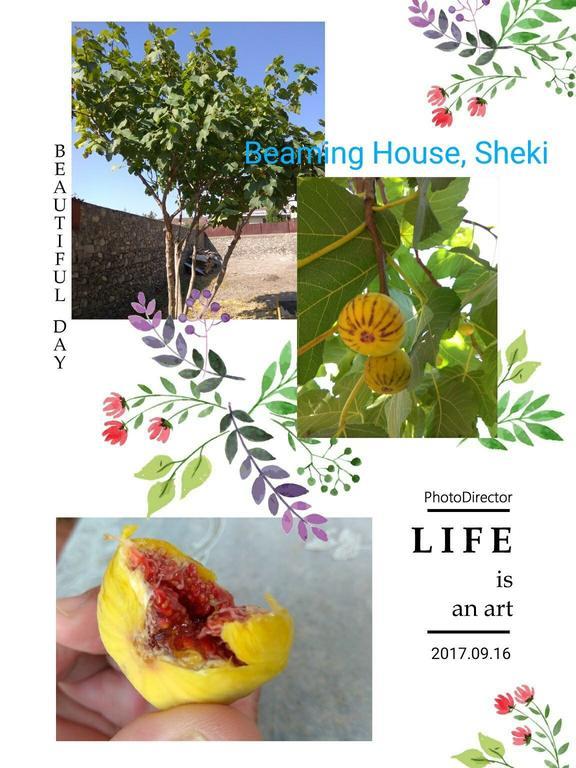 Şǝki Beaming_House酒店 外观 照片